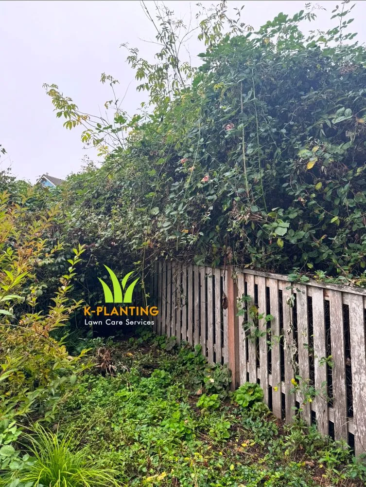 Trusted landscape installation for year-round maintenance across Snohomish, WA - K Planting