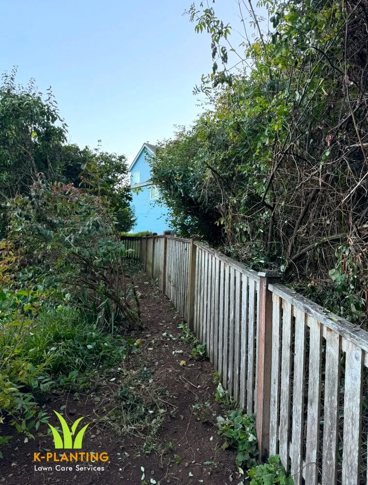 Affordable landscaping services experts serving Snohomish, WA - K Planting