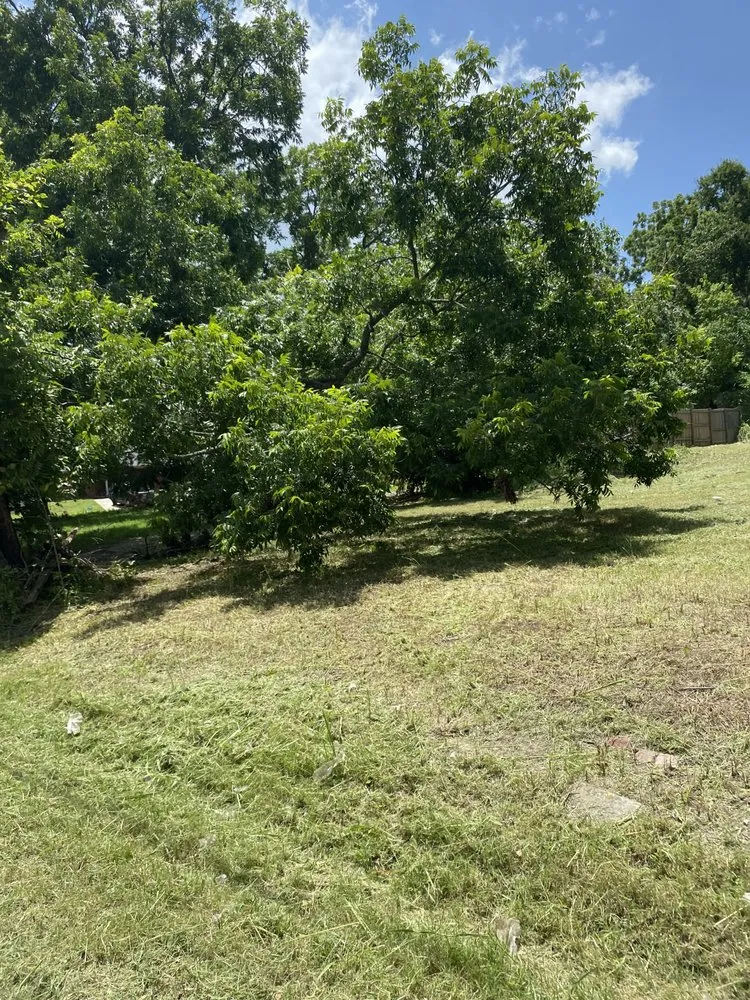 Custom yard cleanup service for residential properties in Whitesboro, TX by K plumbing