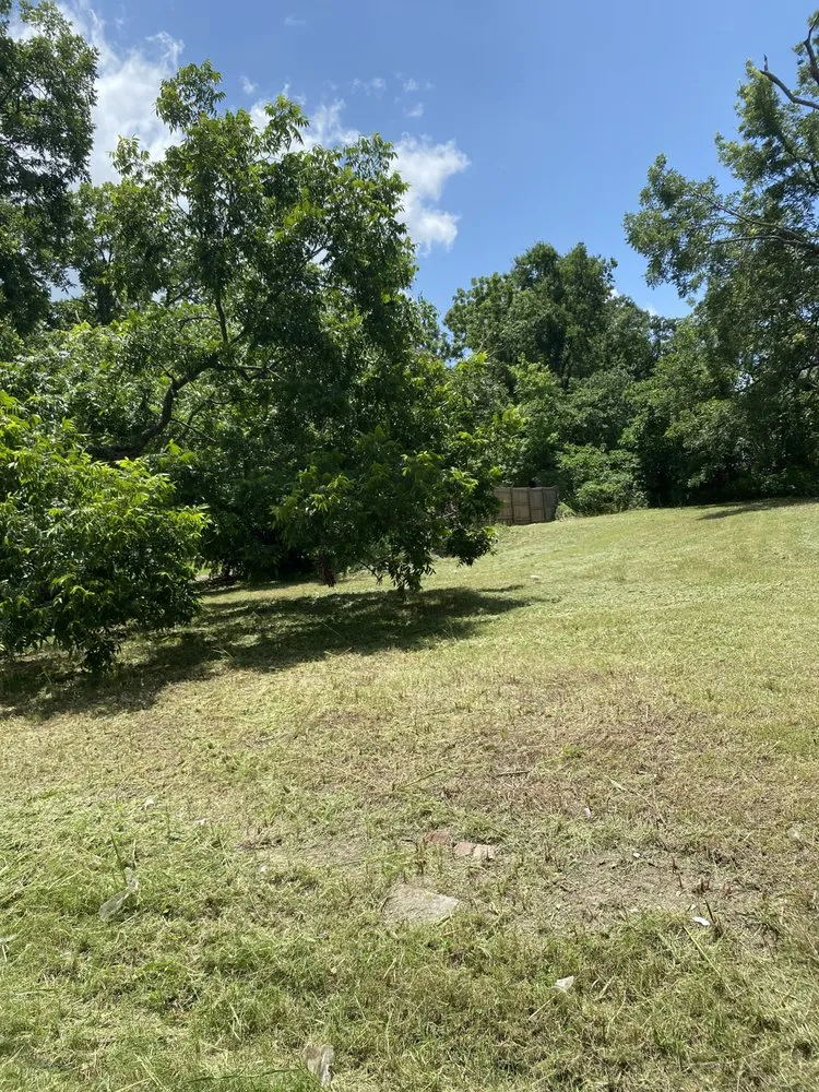 Professional landscape design for year-round maintenance in Whitesboro, TX by K plumbing