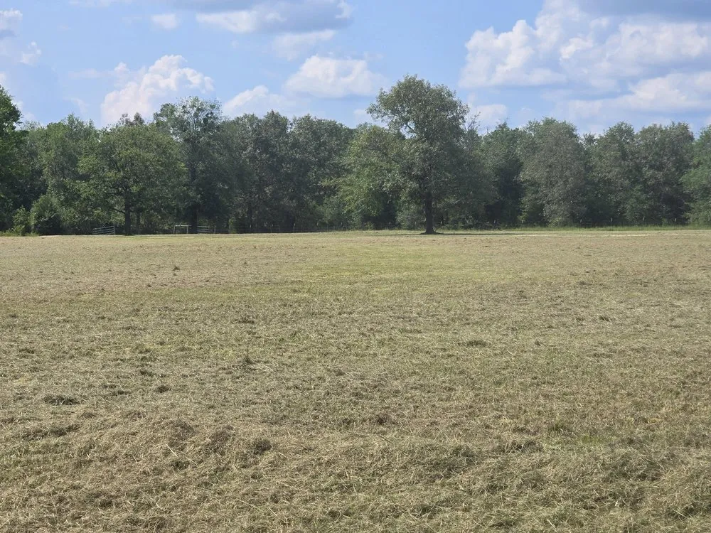 Top-rated outdoor landscaping experts serving Bogata, TX - K S Lawn Service