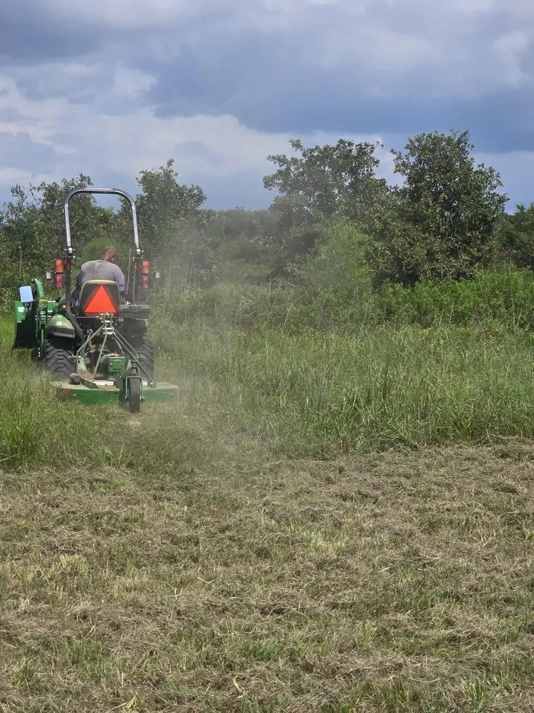 Expert landscape design experts serving Bogata, TX - K S Lawn Service