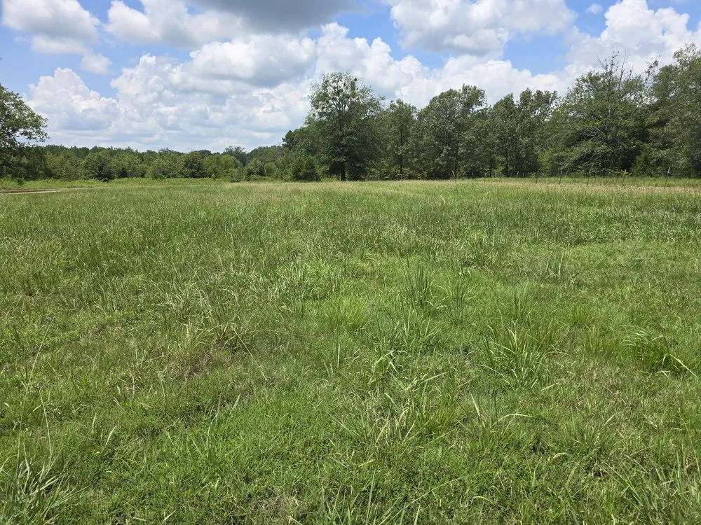 Trusted landscape installation for year-round maintenance in Bogata, TX by K S Lawn Service