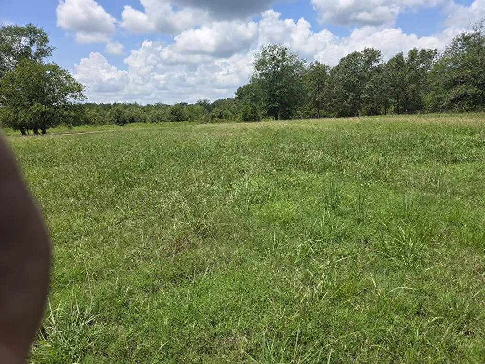 Reliable lawn mowing service in Bogata, TX by K S Lawn Service