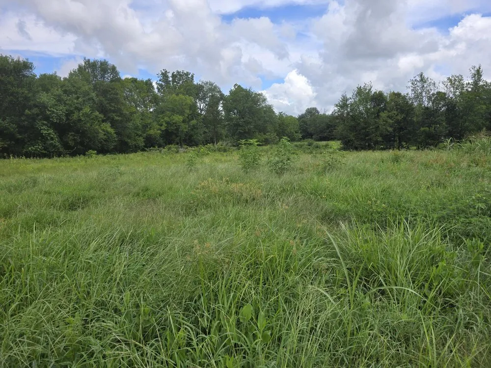 Top-rated landscaping services with custom design across Bogata, TX - K S Lawn Service