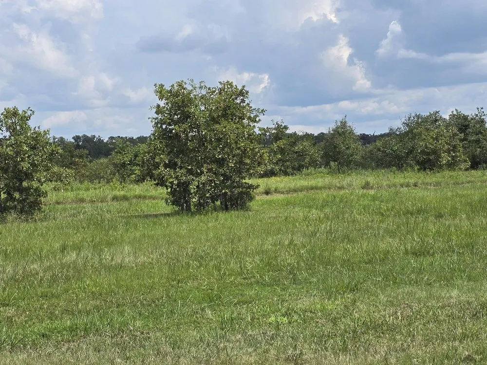 Reliable landscape installation in Bogata, TX - K S Lawn Service