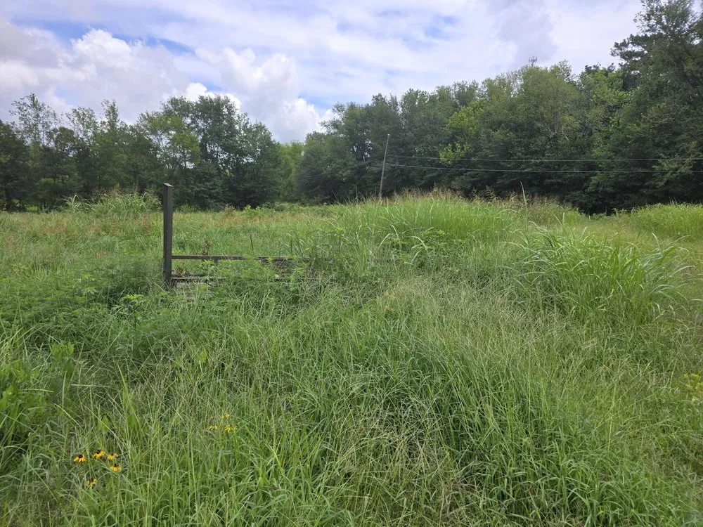 Local yard cleanup service in Bogata, TX - K S Lawn Service