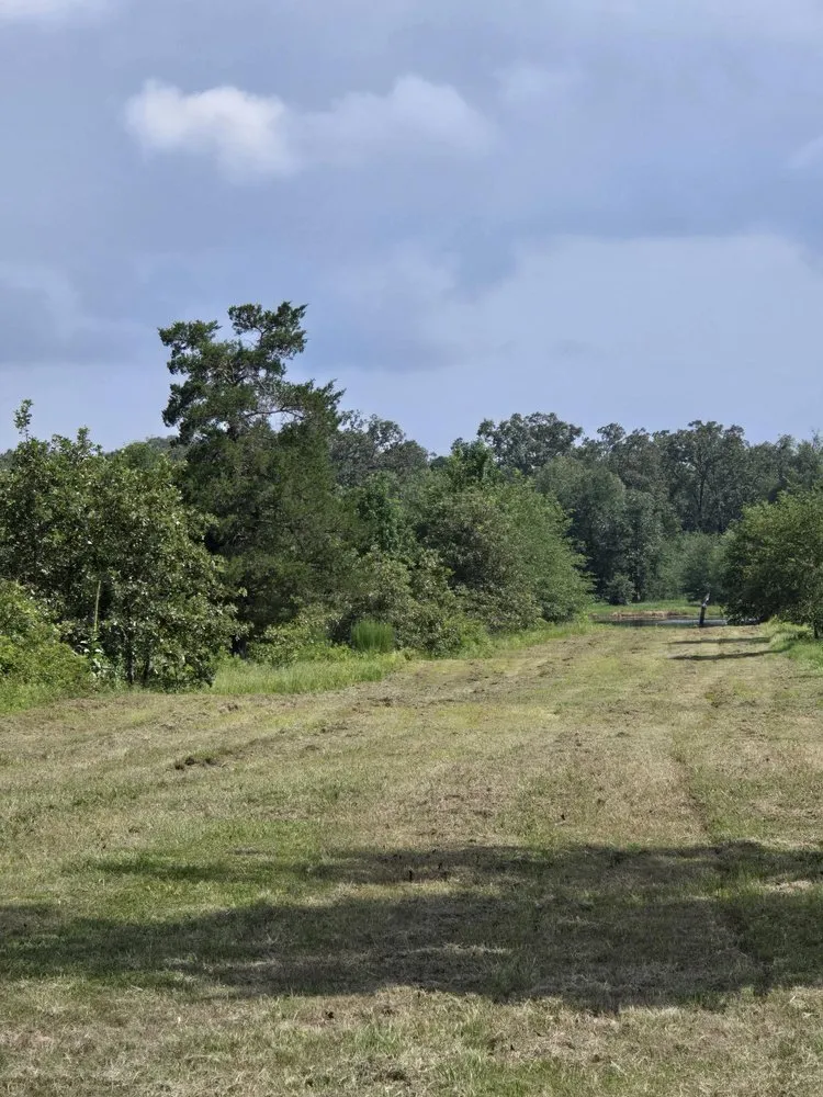 Local yard maintenance for residential properties in Bogata, TX by K S Lawn Service