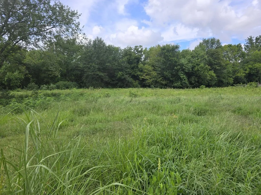 Professional garden landscaping in Bogata, TX by K S Lawn Service