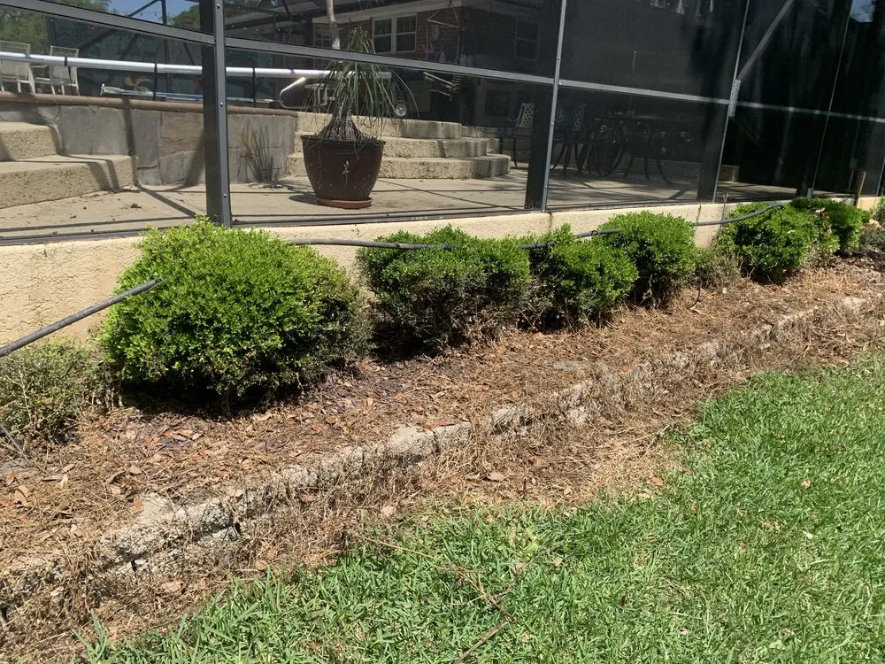 Professional yard cleanup service in Holiday Lakes, TX by K Services