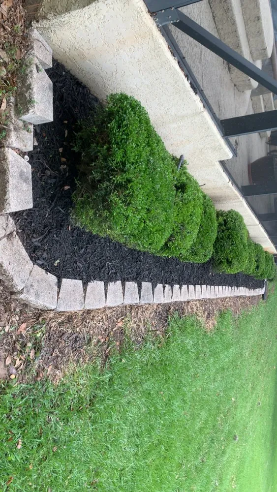 Professional landscaping services for beautiful yards across Holiday Lakes, TX - K Services