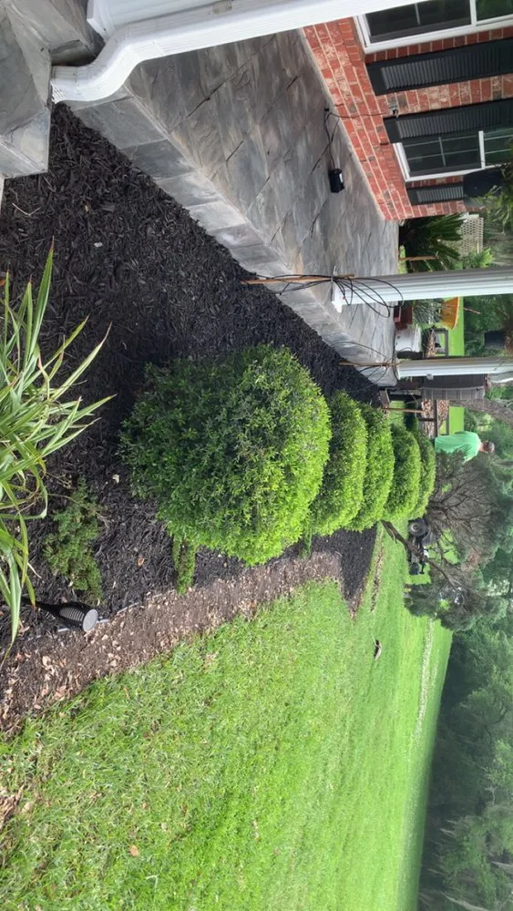 Affordable landscape installation for outdoor upgrades in Holiday Lakes, TX by K Services