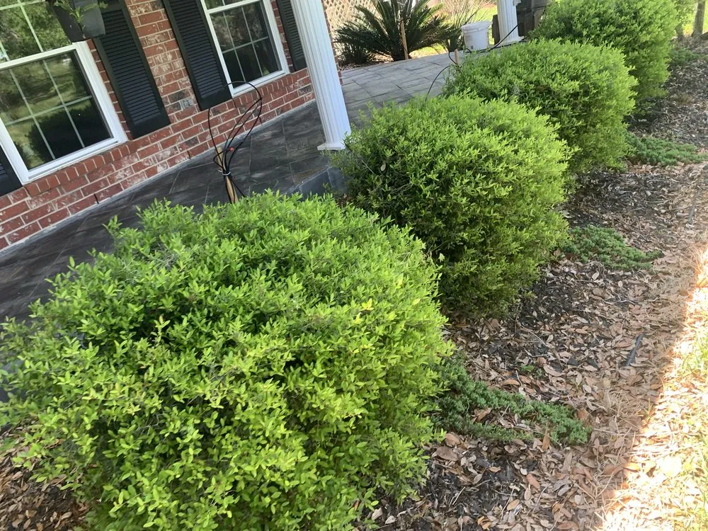 Custom yard maintenance in Holiday Lakes, TX by K Services