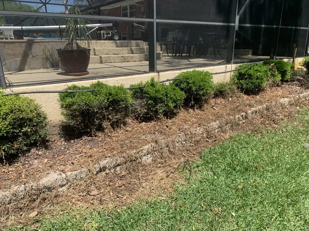 Local lawn mowing service for beautiful yards across Holiday Lakes, TX - K Services