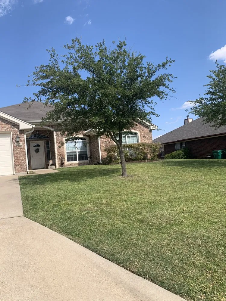 Professional yard maintenance for outdoor upgrades in Killeen, TX by K Town Landscaping