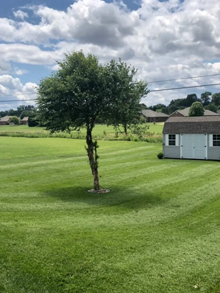 Expert yard cleanup service experts serving Columbus, IN - K. Wills Mowing