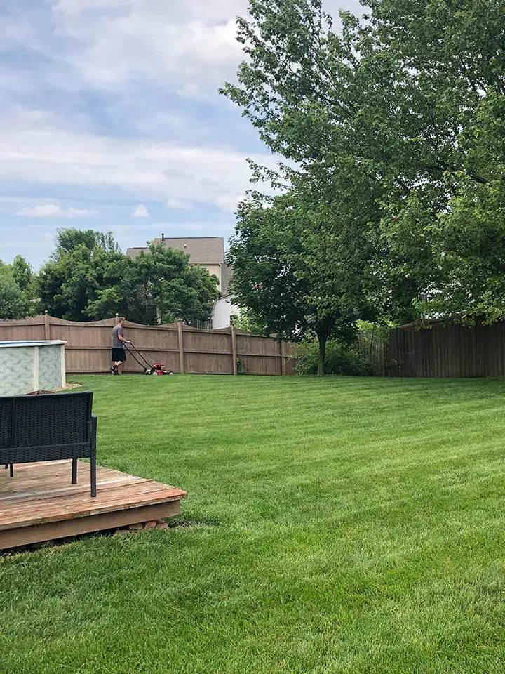 Professional yard cleanup service in Columbus, IN by K. Wills Mowing