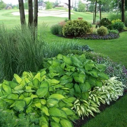 Local lawn care service experts serving Roanoke, TX - K-Work Landscaping