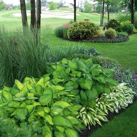 Top-rated garden landscaping experts serving Roanoke, TX - K-Work Landscaping