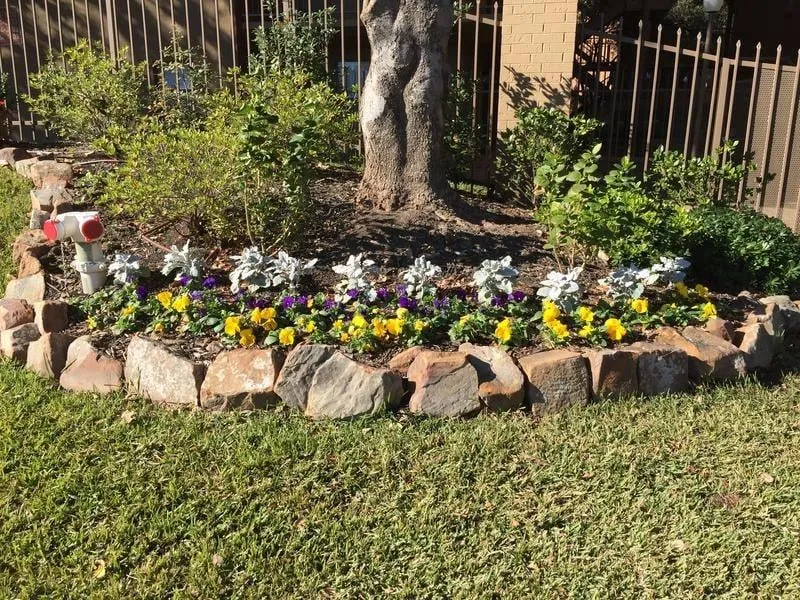 Trusted landscaping services for year-round maintenance in Roanoke, TX by K-Work Landscaping