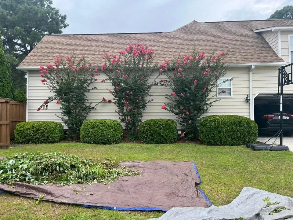 Expert lawn care service for year-round maintenance in Wilmington, NC by K12 lawncare