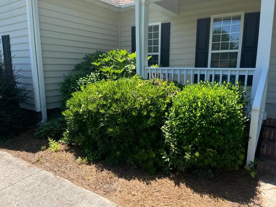 Professional landscape design with custom design across Wilmington, NC - K12 lawncare