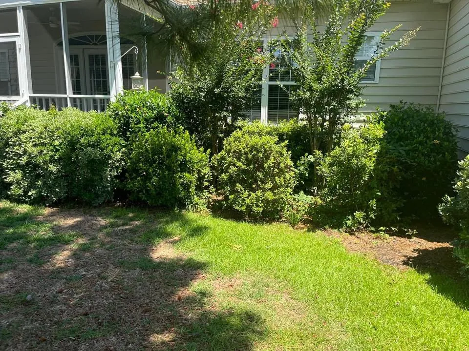 Trusted landscape design for residential properties across Wilmington, NC - K12 lawncare