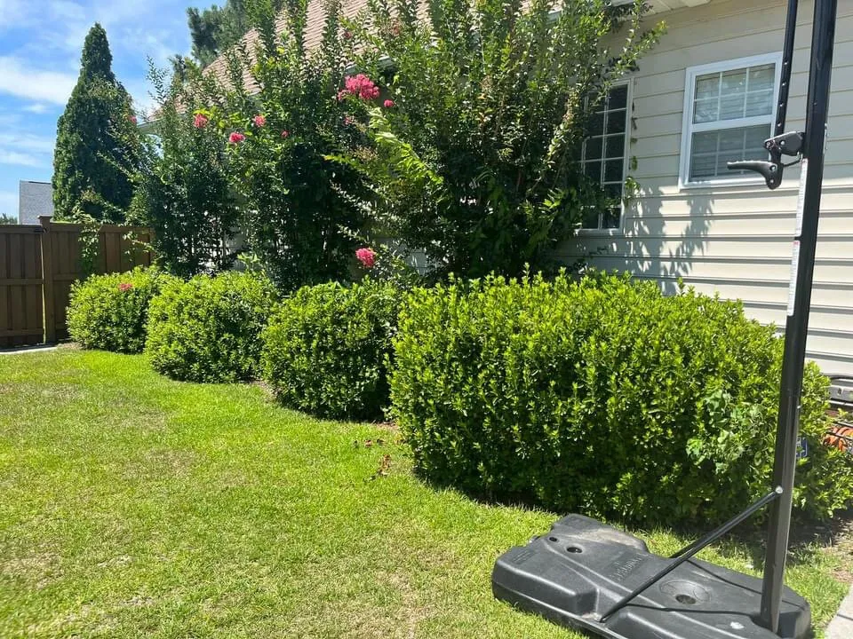 Professional lawn mowing service in Wilmington, NC - K12 lawncare