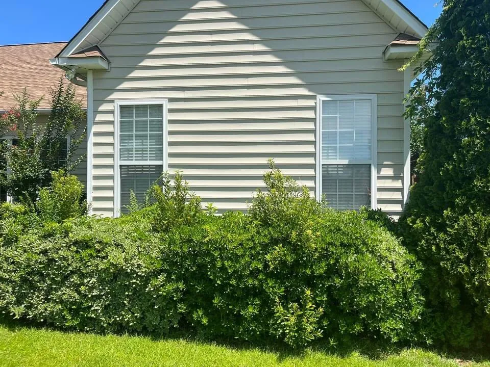 Custom landscape design for year-round maintenance in Wilmington, NC by K12 lawncare