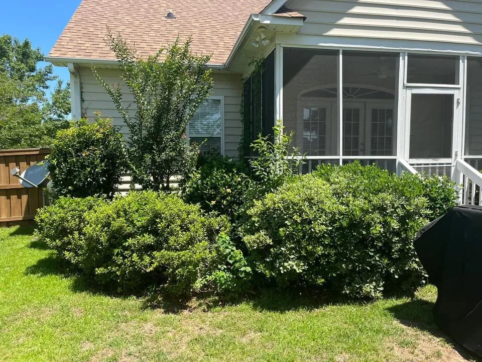 Custom outdoor landscaping experts serving Wilmington, NC - K12 lawncare