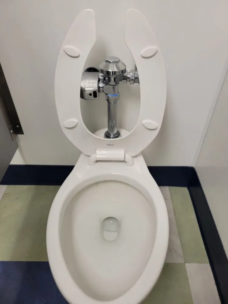 Top-rated yard maintenance for beautiful yards across Mexico, MO - K2 Cleaning Service