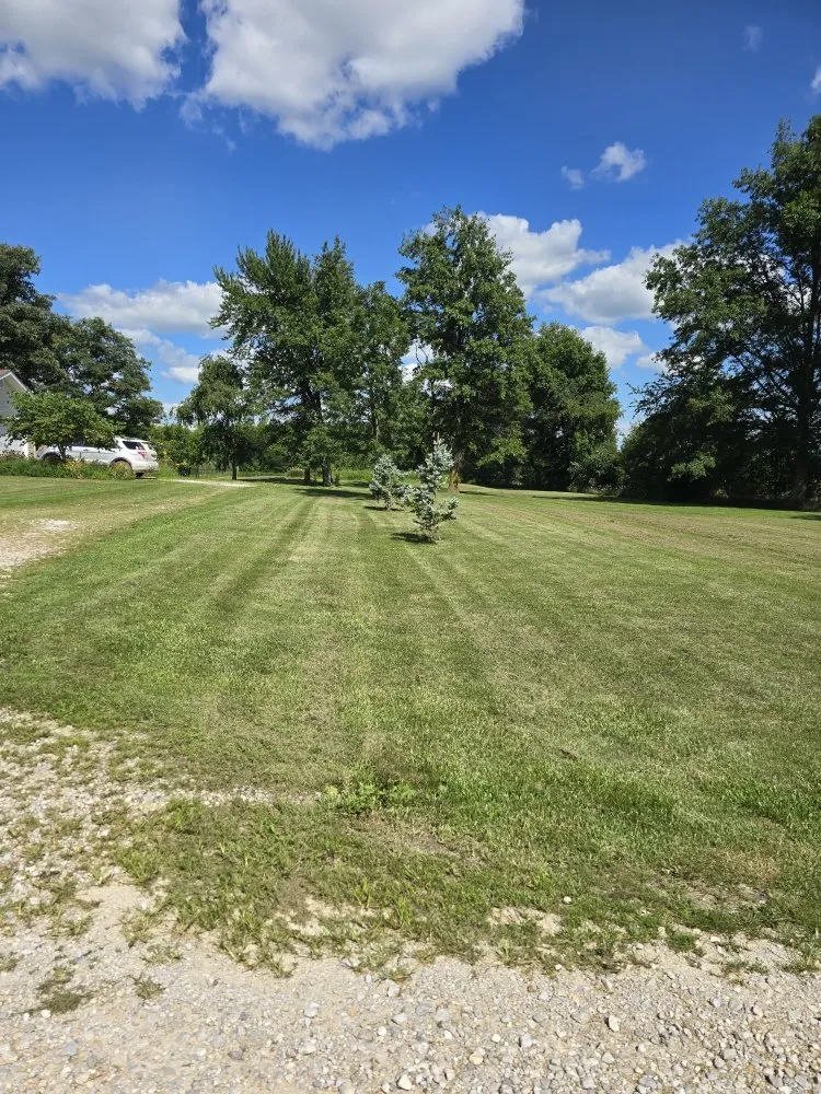 Local lawn care service in Mexico, MO by K2 Cleaning Service