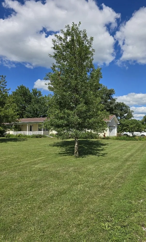 Top-rated yard cleanup service in Mexico, MO - K2 Cleaning Service