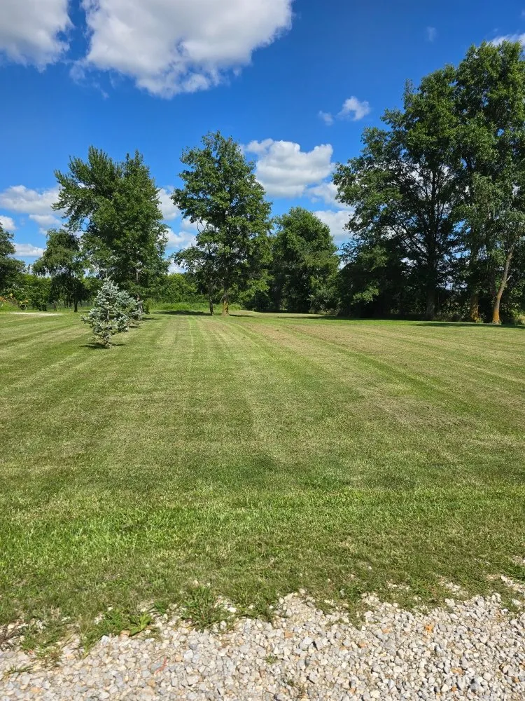 Affordable lawn care service experts serving Mexico, MO - K2 Cleaning Service