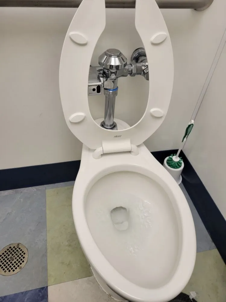 Trusted garden landscaping near you in Mexico, MO by K2 Cleaning Service