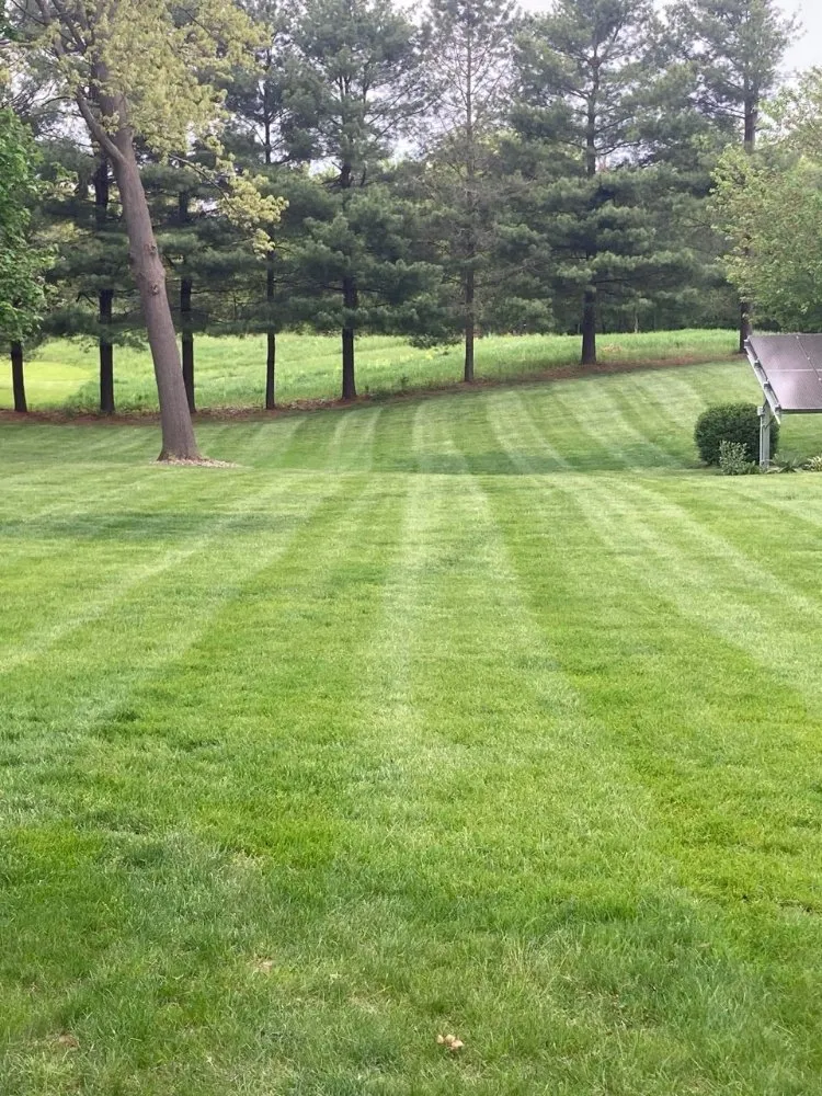 Custom yard cleanup service for homes in Addison, MI by K2 Lawn Crew