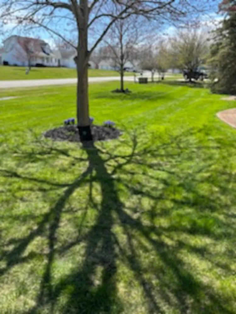 Trusted lawn care service in Addison, MI by K2 Lawn Crew