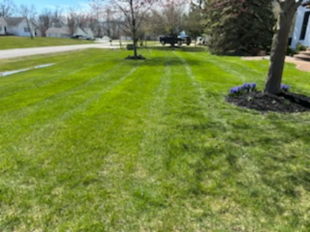Professional yard cleanup service near you across Addison, MI - K2 Lawn Crew