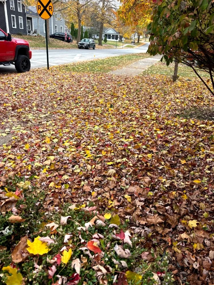 Professional residential landscaping in Addison, MI by K2 Lawn Crew