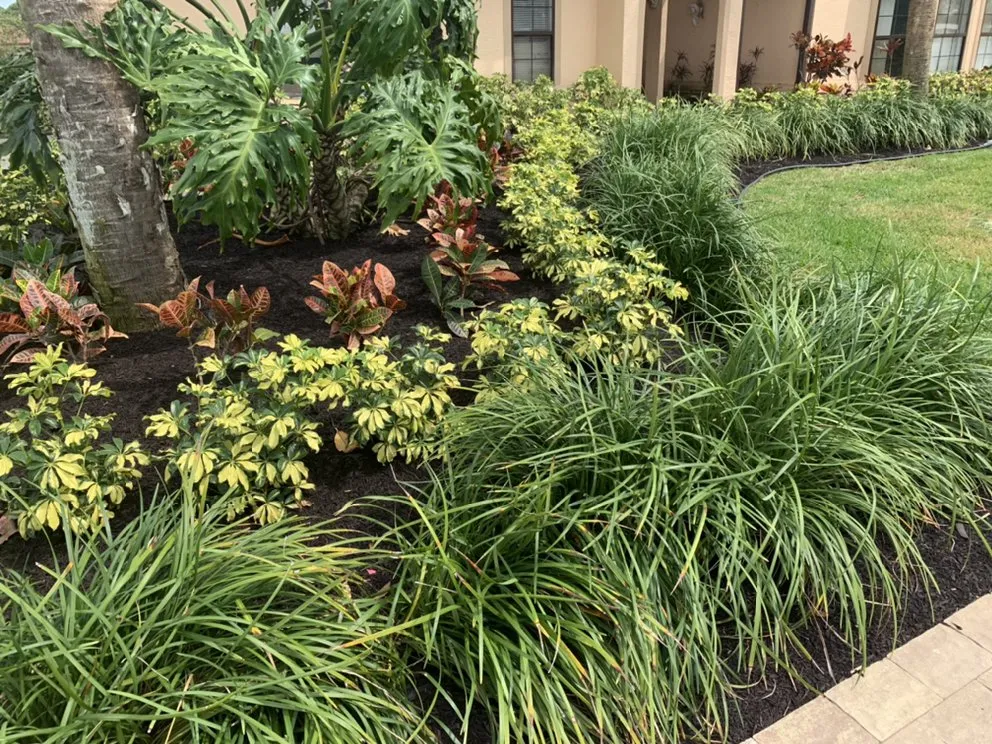 Expert garden landscaping for outdoor upgrades in Sebastian, FL by K5 Landscapes