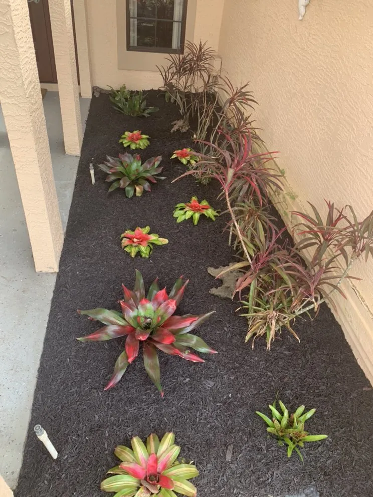 Reliable landscape design experts serving Sebastian, FL - K5 Landscapes