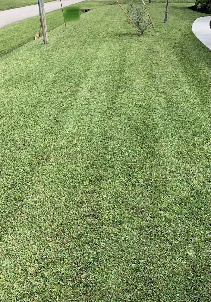 Reliable landscape installation in Sebastian, FL - K5 Landscapes