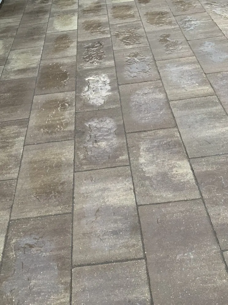 Reliable landscape installation in Sebastian, FL - K5 Landscapes