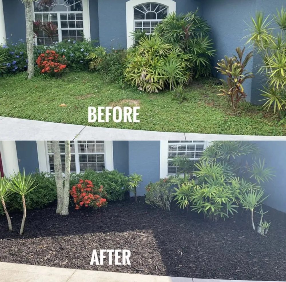 Affordable yard cleanup service experts serving Sebastian, FL - K5 Landscapes
