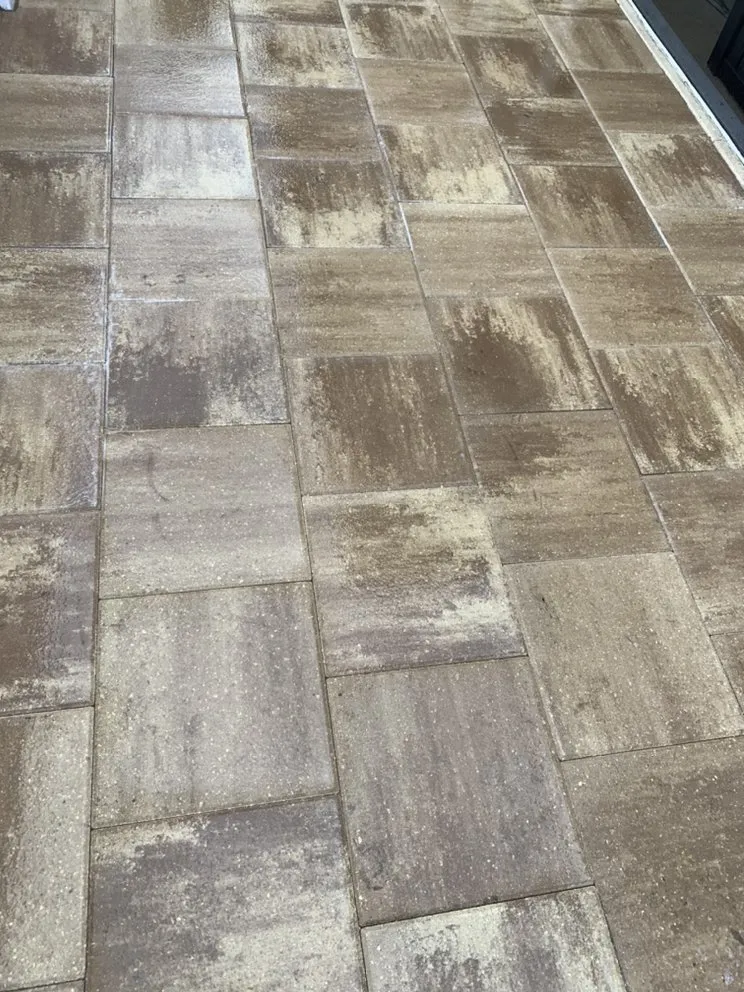 Professional lawn care service with custom design in Sebastian, FL by K5 Landscapes