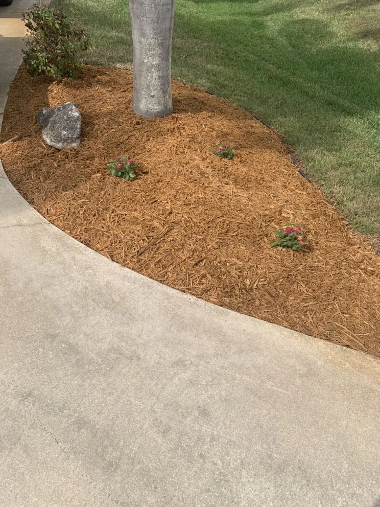 Local yard cleanup service experts serving Sebastian, FL - K5 Landscapes