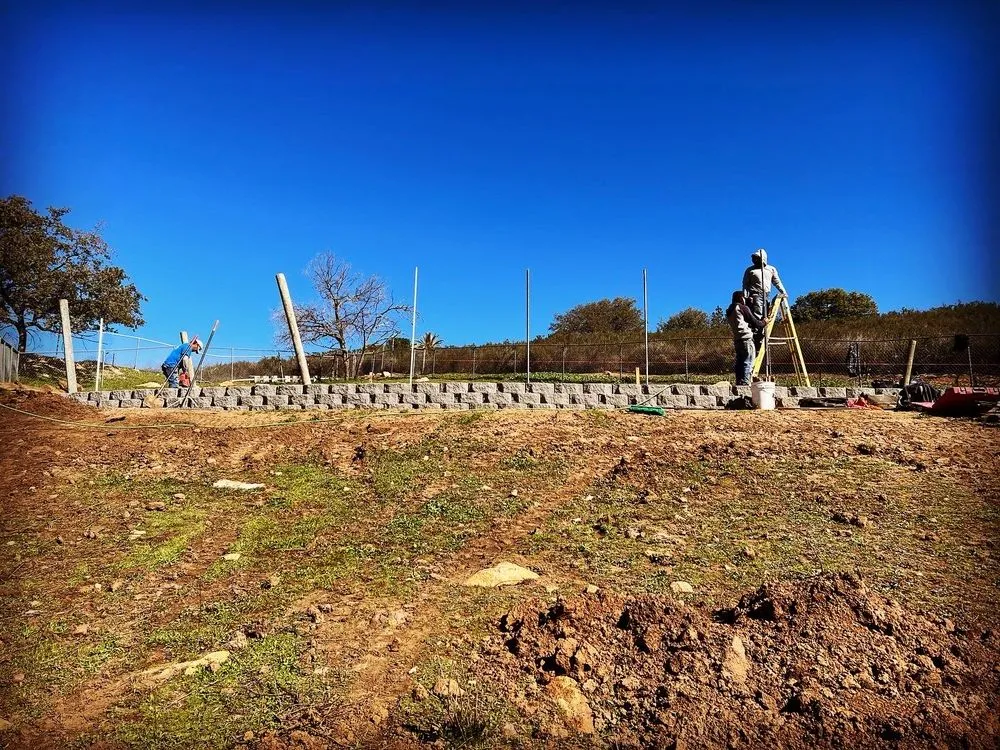 Trusted outdoor landscaping for year-round maintenance across El Cajon, CA - K5 Landscaping