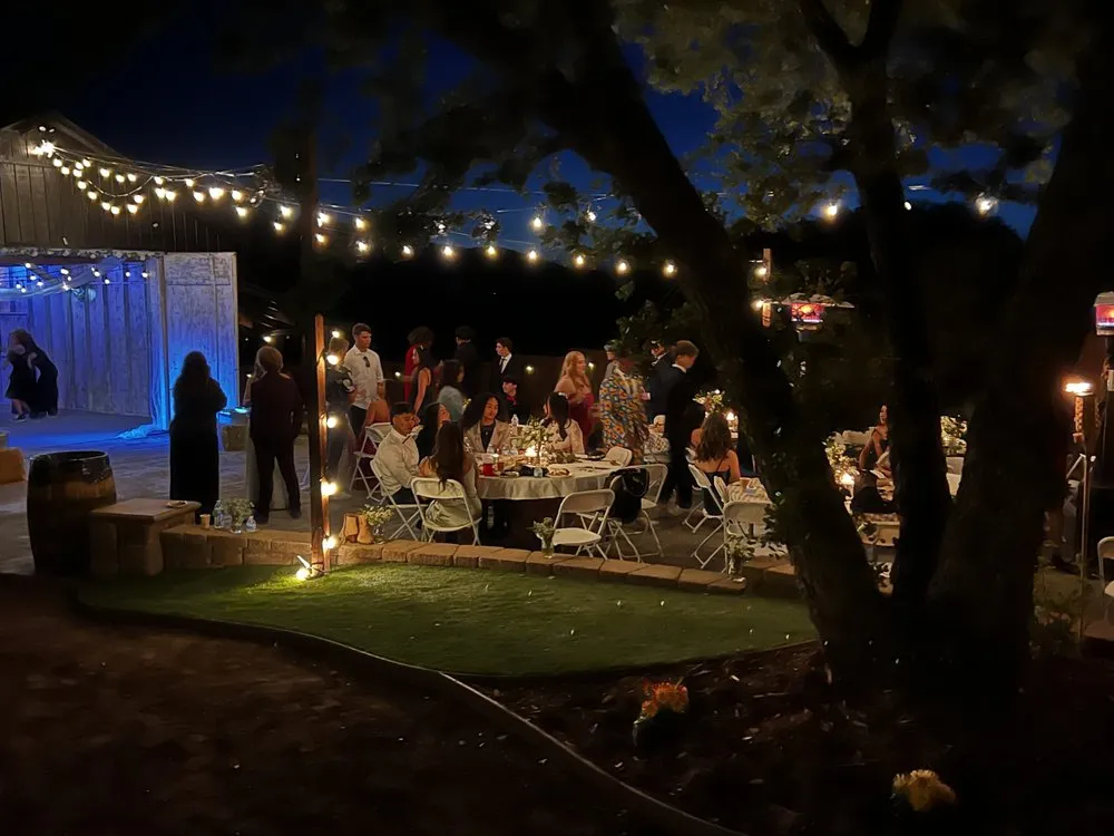 Expert yard cleanup service experts serving El Cajon, CA - K5 Landscaping