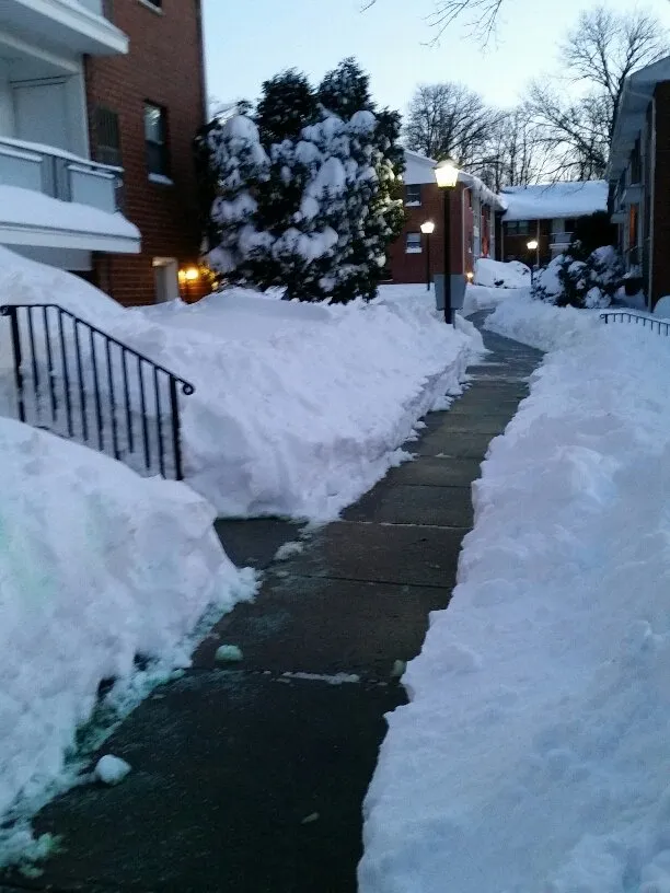 Professional landscaping services for beautiful yards in Bath, PA by KA Group