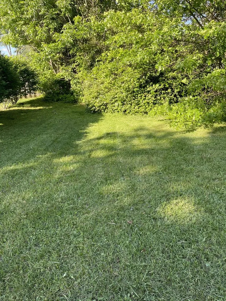 Top-rated outdoor landscaping in Ogontz Campus, PA - K&A Landscaping